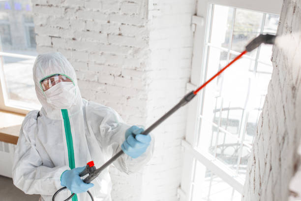 Biohazard Mold Removal in Watervliet, NY